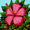 Happy Hibiscus 2 Original SOLD